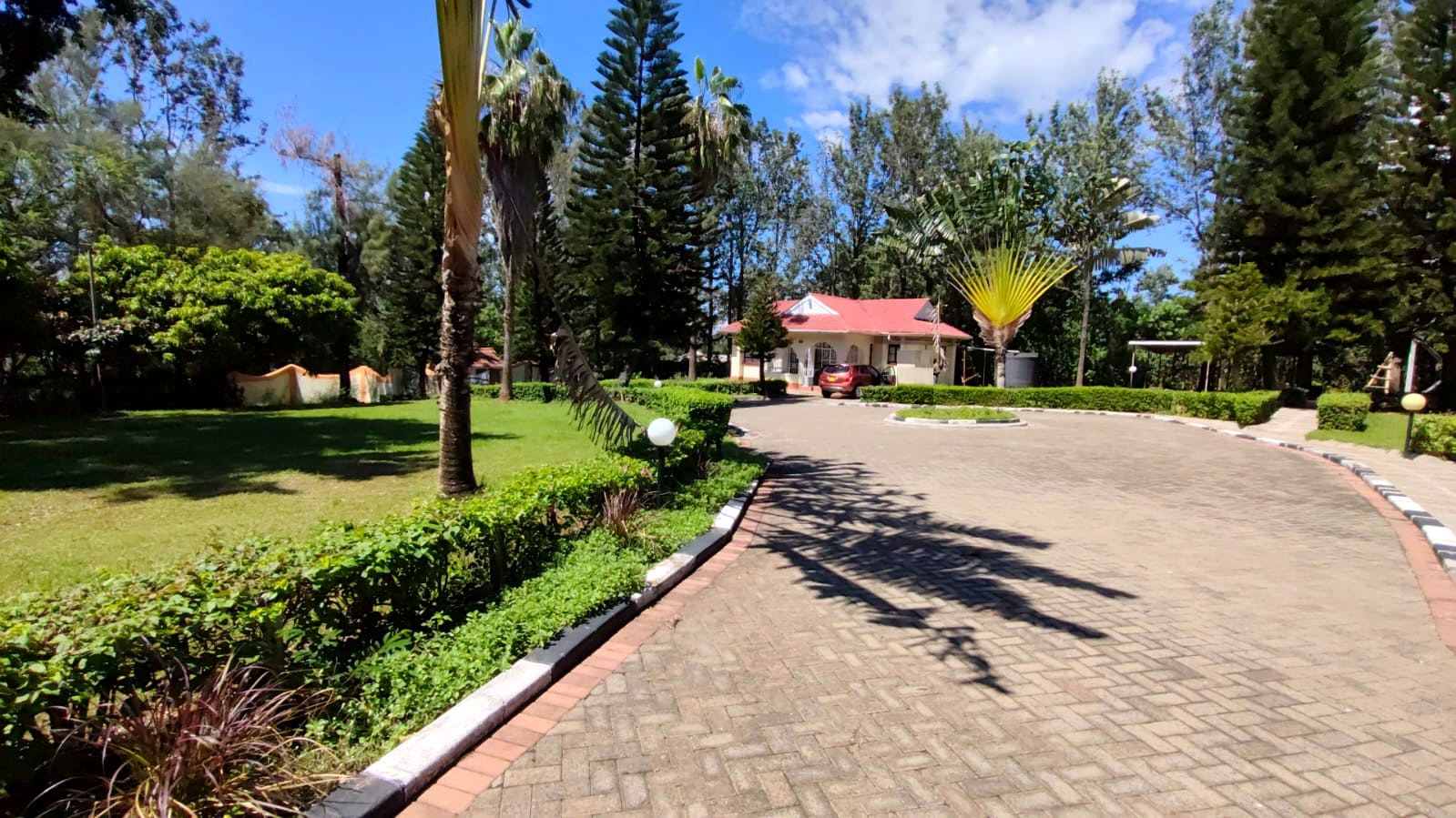 Open lawn beside the curving driveway